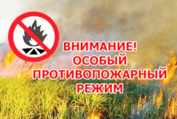 С 30 мая введён особый противопожарный режим
