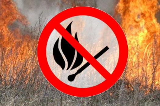 Выжигание сухой растительности недопустимо!