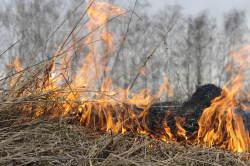 С 14 апреля в Радужном устанавливается пожароопасный сезон