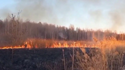 Ландшафтные пожары