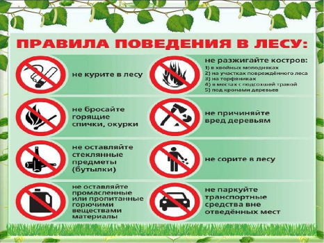 Информация для населения  о правилах экологической безопасности во время «отдыха на природе»