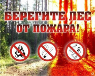 Информация для населения  о правилах пожарной безопасности в лесах