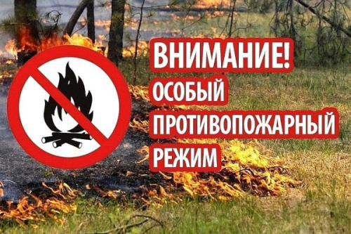 Во Владимирской области запрещено посещать леса и отложен сезон охоты