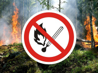 Информация для населения  о правилах пожарной безопасности в лесах