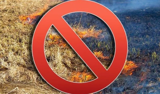 Выжигание сухой растительности недопустимо!