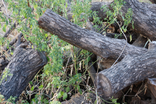 Информация для населения