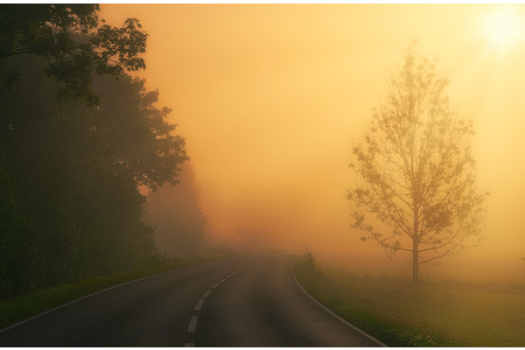 Основные правила для безопасной езды в тумане