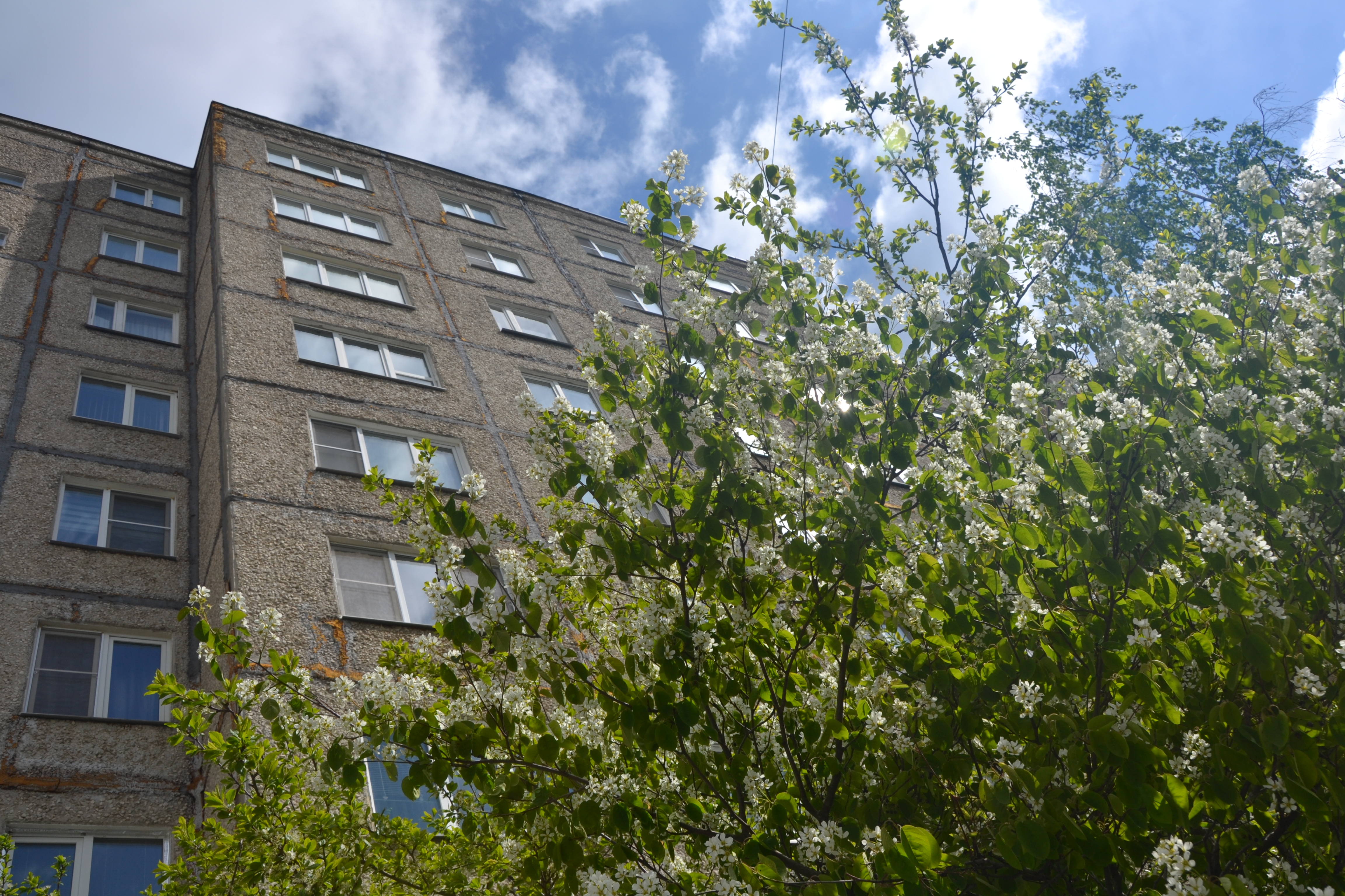 Весна в городе