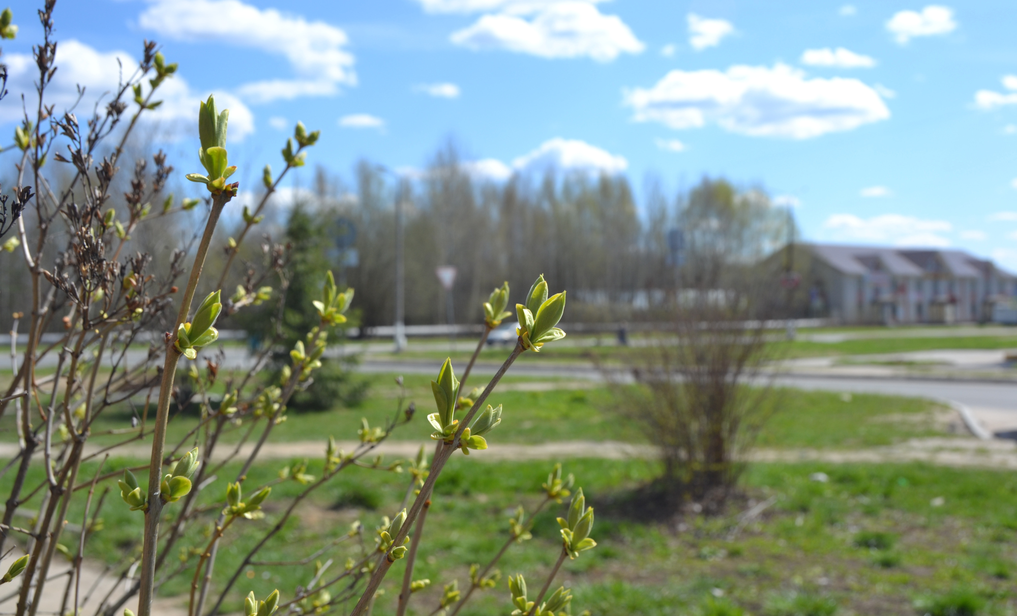 Весна в городе