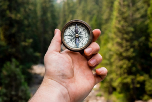 Как не потеряться в лесу