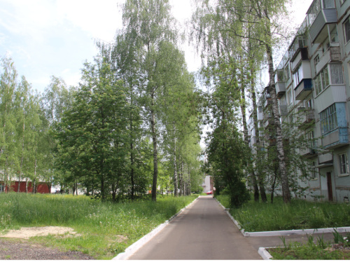 Деревья на придомовой территории