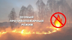  С 13 августа вводится особый противопожарный режим!