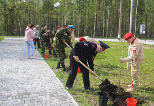 Сирень - как частичка памяти