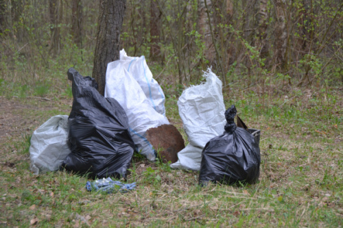 Приглашаем на субботник!