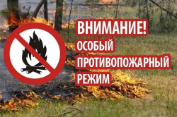 На ближайшие выходные во Владимирской области вводится особый противопожарный режим 