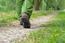 Информация для населения  о правилах поведения заблудившихся в лесу