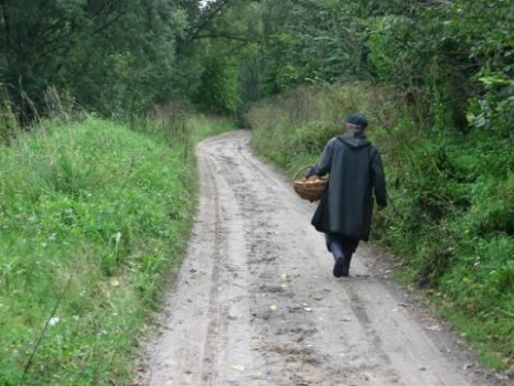 Как вести себя на берегу