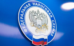 Свыше 80 тысяч жителей Владимирской области выбрали возможность получения налоговых уведомлений через Госуслуги