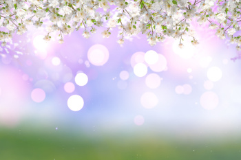 Весенний квиз 16+