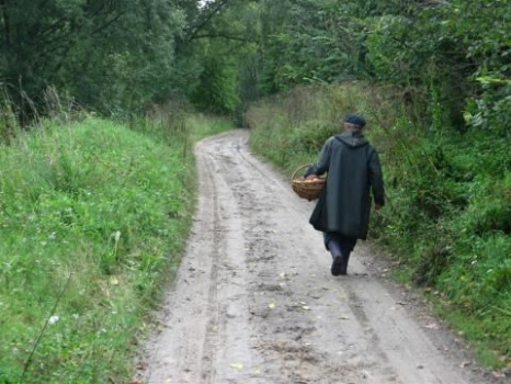 Грибной сезон