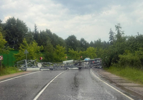 Основные правила безопасного поведения при сильном ветре
