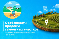 Особенности продажи земельных участков из земель сельскохозяйственного назначения