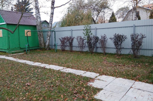 Подготовка дачных участков к зиме