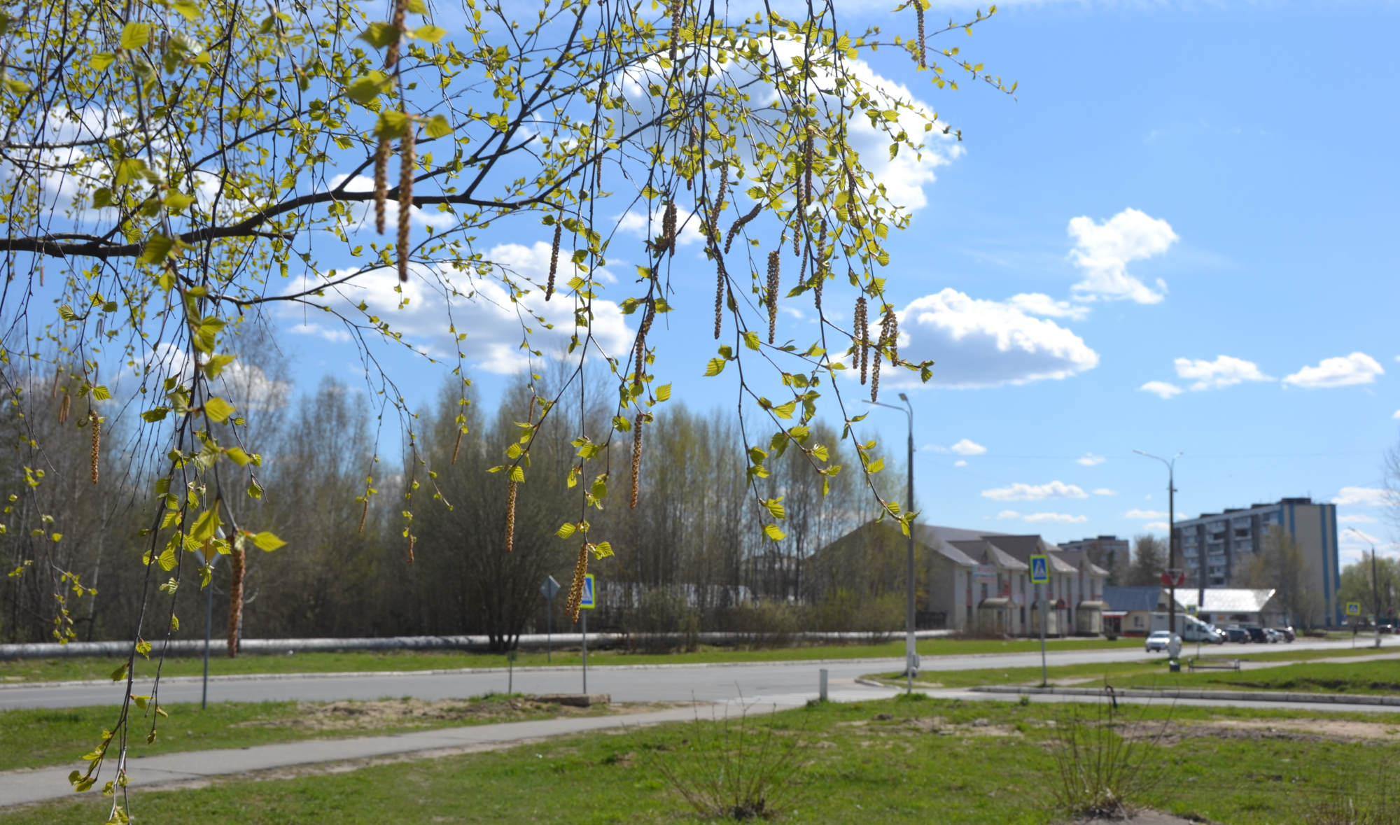 Весна в городе