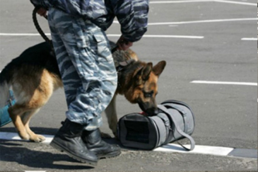 Школа антитеррористической безопасности