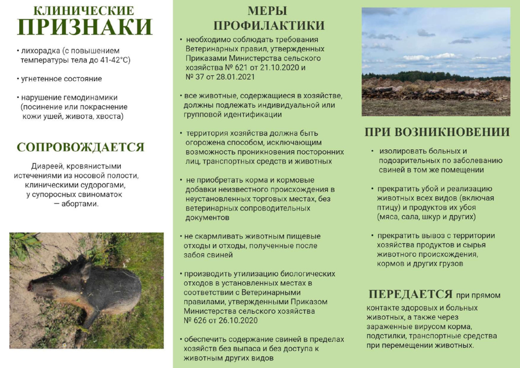 Памятка по АЧС_page-0002.jpg Памятка по АЧС_page-0002.jpg